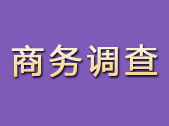 湘潭商务调查